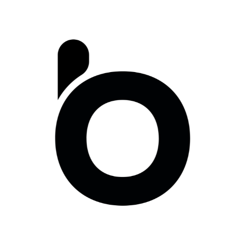 Shopify store using Raisolve