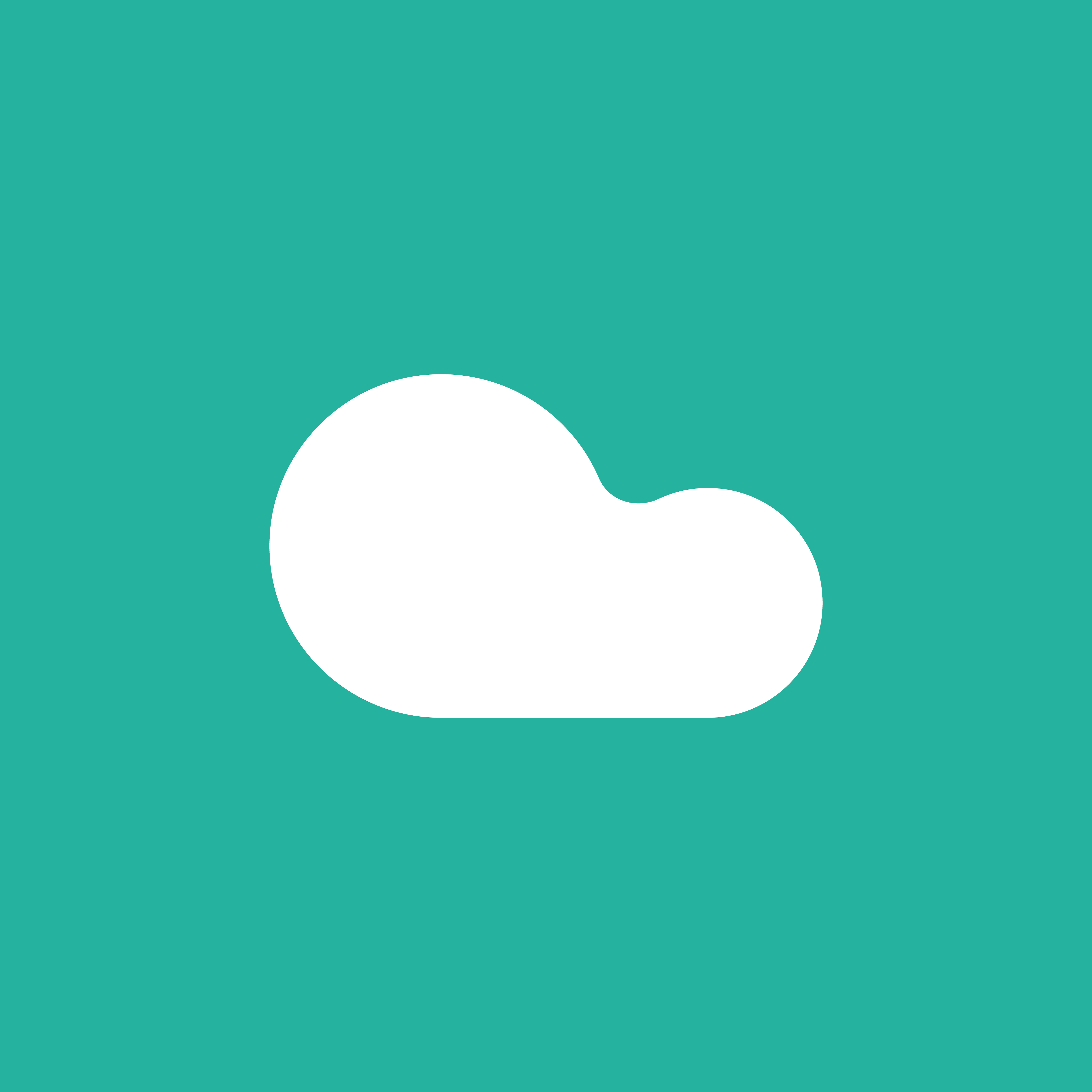Shopify store using Raisolve